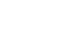 bumptech staymobile